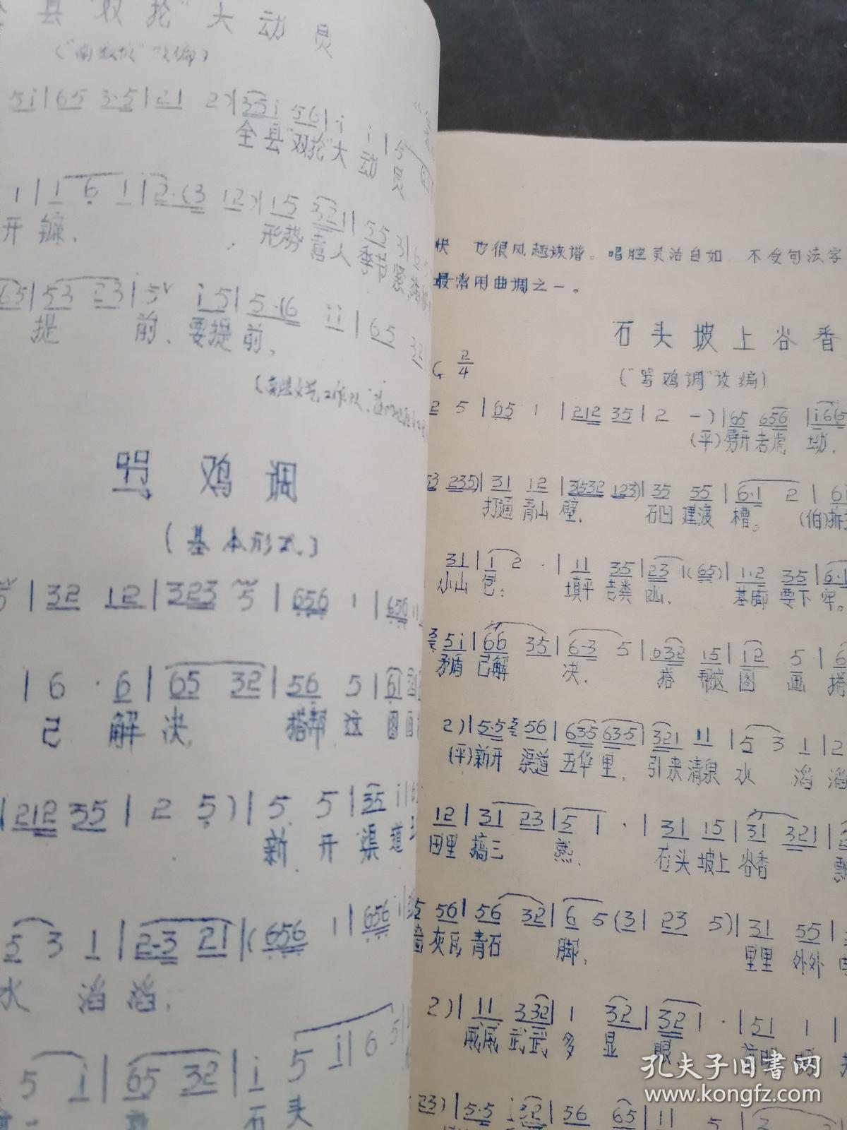 渔鼓调,十字调,采茶调,和调,花石调,洞腔,过江调,四六调,反西湖调