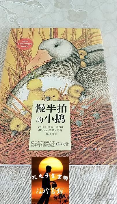 慢半拍的小鹅