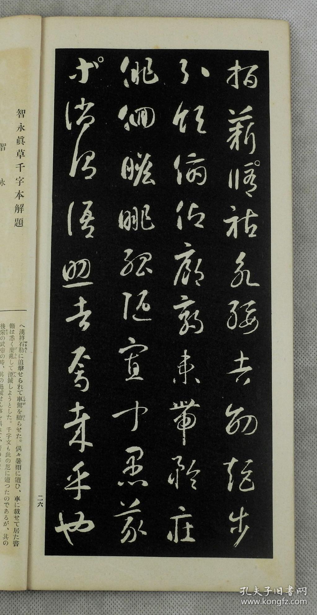 书圣王羲之世孙经典书法帖民国珂罗版精品智永草书千文原装1册全3015