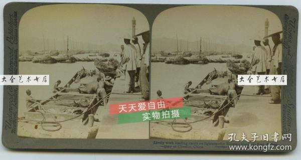 清代山东有多少人口_山东到南京有多少公里