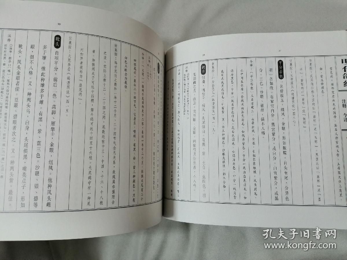鸽子原版简谱_鸽子简谱(3)