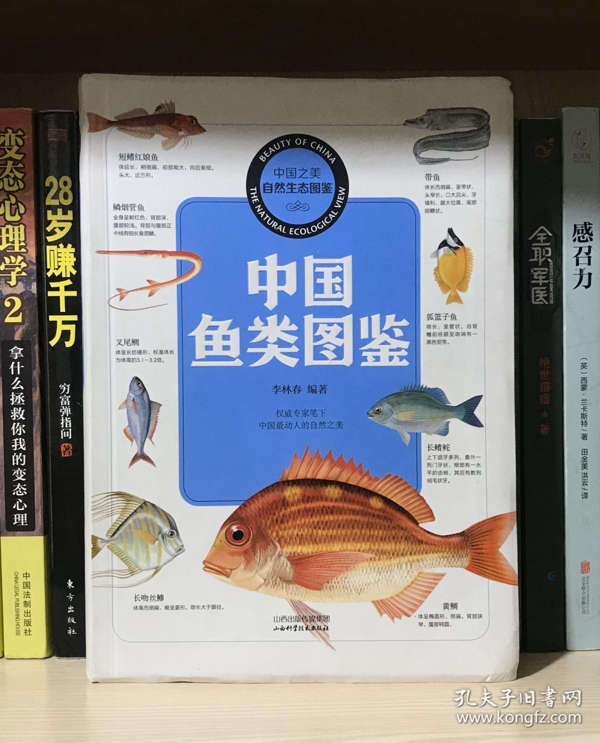 中国鱼类图鉴