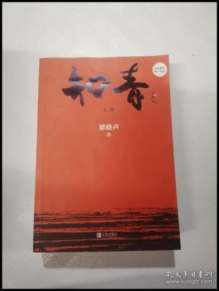 《知青》低价购书_梁晓声 著_小说_孔网