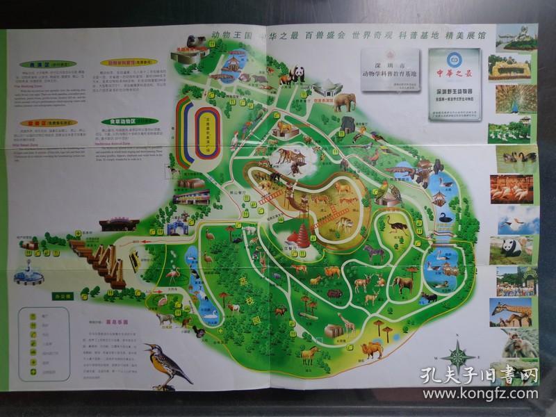 手绘平面图北京野生动物园游览图深圳野生动物园的旅游路线示意图简笔