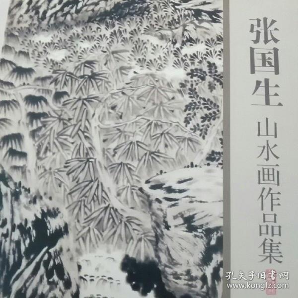 张国生山水画作品集