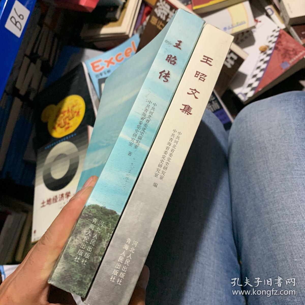 王昭文集,王昭传(两本合售)