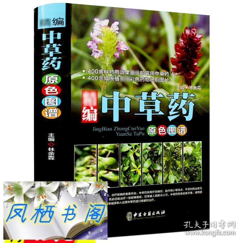 精编中草药原色图谱图解中华汉方快速认药彩图集中国700种1500种中