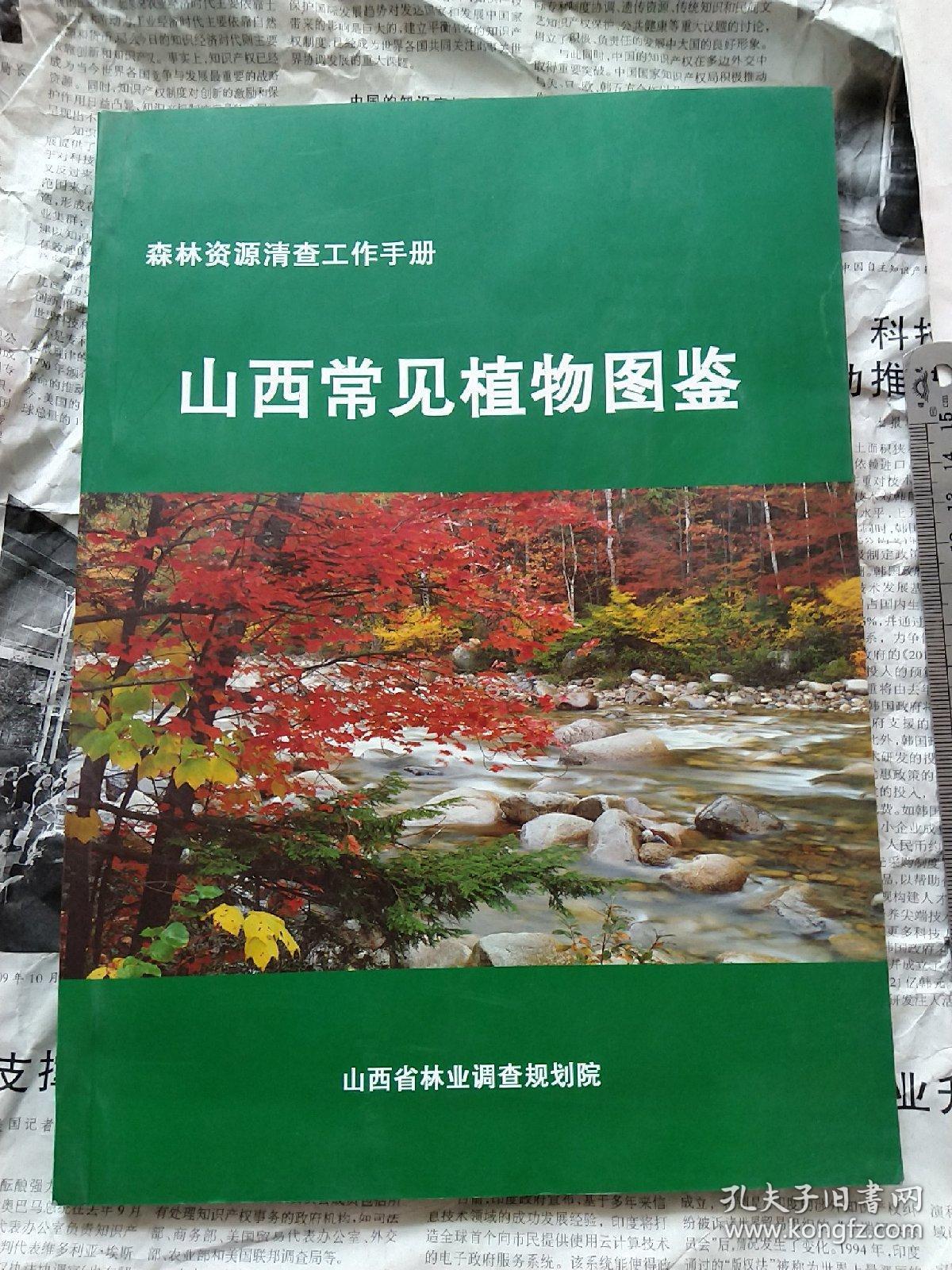山西常见植物图鉴
