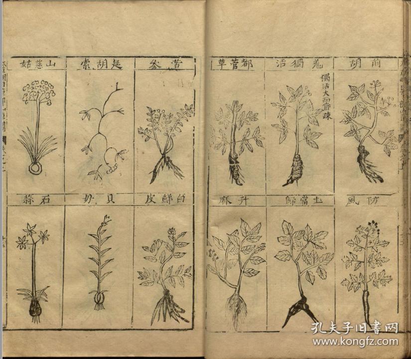 【复印件】明万历二十四年金陵胡承龙刻本:本草纲目,明李时珍撰,共五