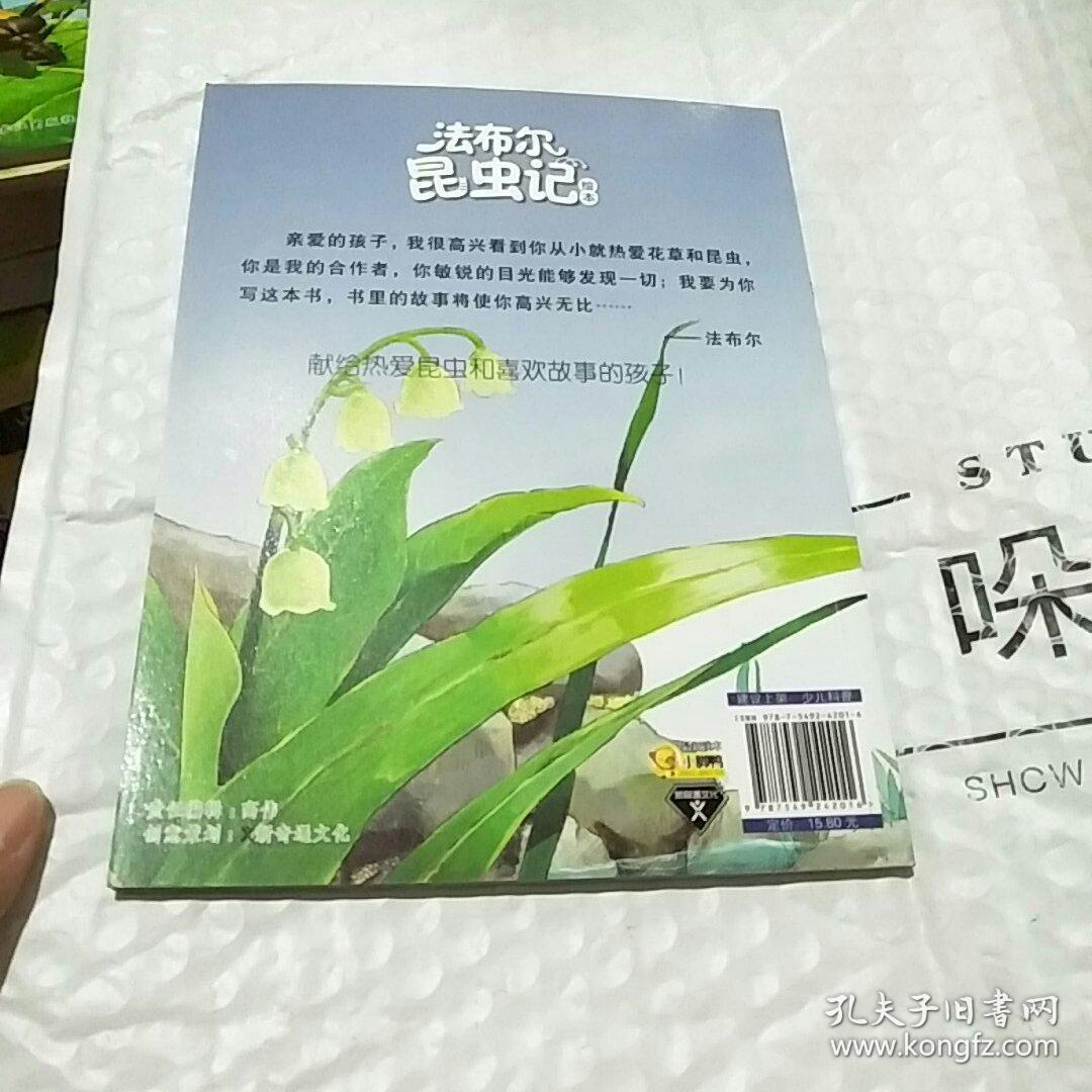 法布尔昆虫记绘本:绿蝈蝈—虚荣的歌手(注音版)