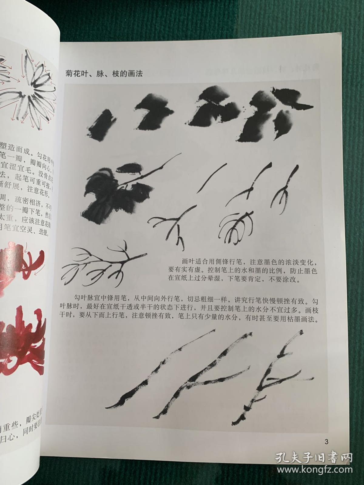 国画初学技法--彩墨菊花