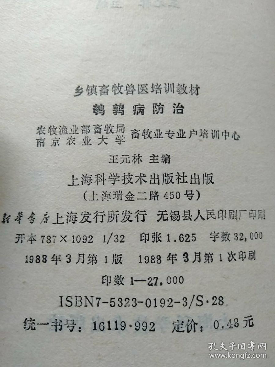 鹌鹑简谱_鹌鹑鸟图片