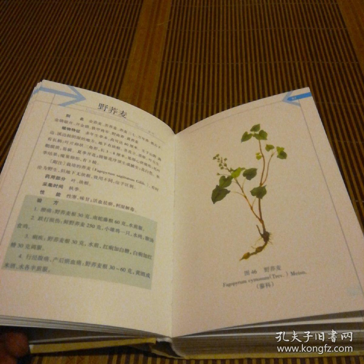 云南中草药选