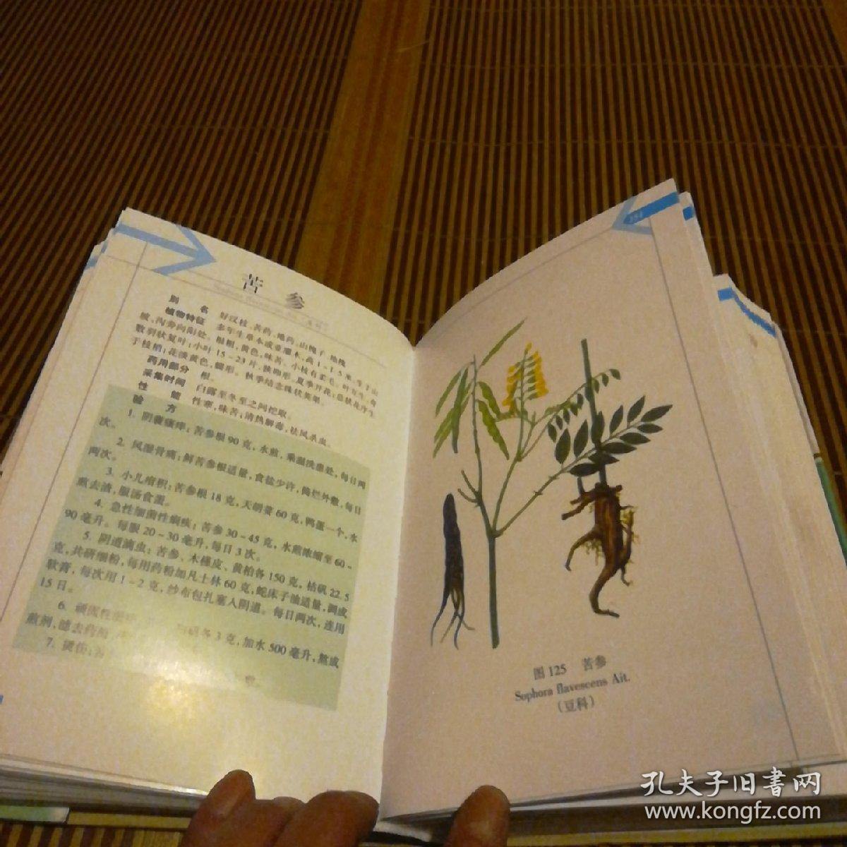 云南中草药选