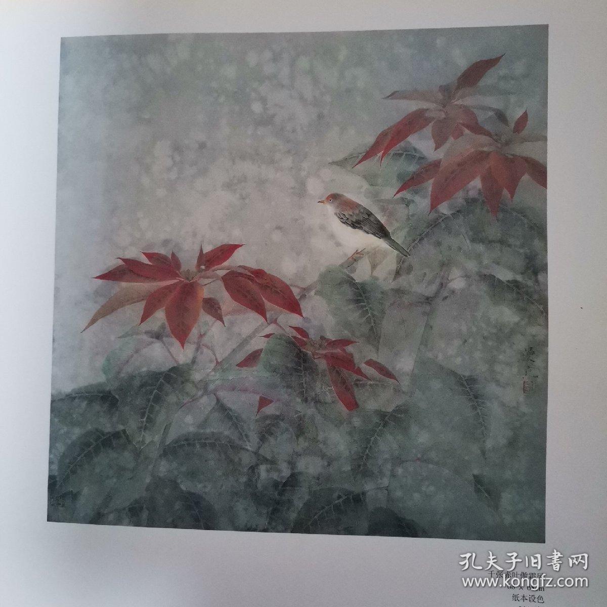 许曼克工笔花鸟画精品集