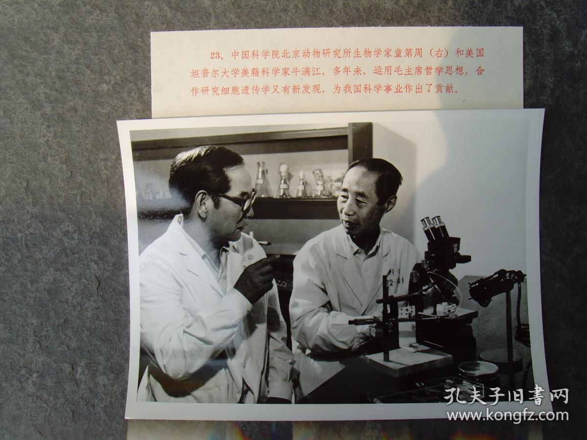 研究所童第周(浙江鄞县人,生物学家,中国克隆之父)和美籍科学家牛满江