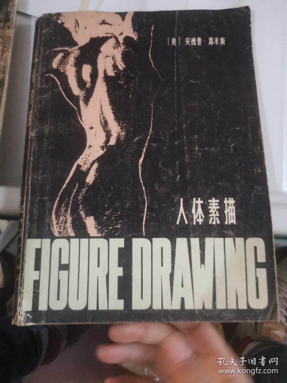 人体素描 康勃夫素描选 凯利的人体肖像画技法 素描技法 理查司碶米德