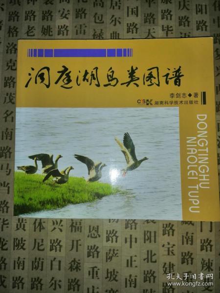 洞庭湖的简谱_洞庭湖鱼米乡简谱