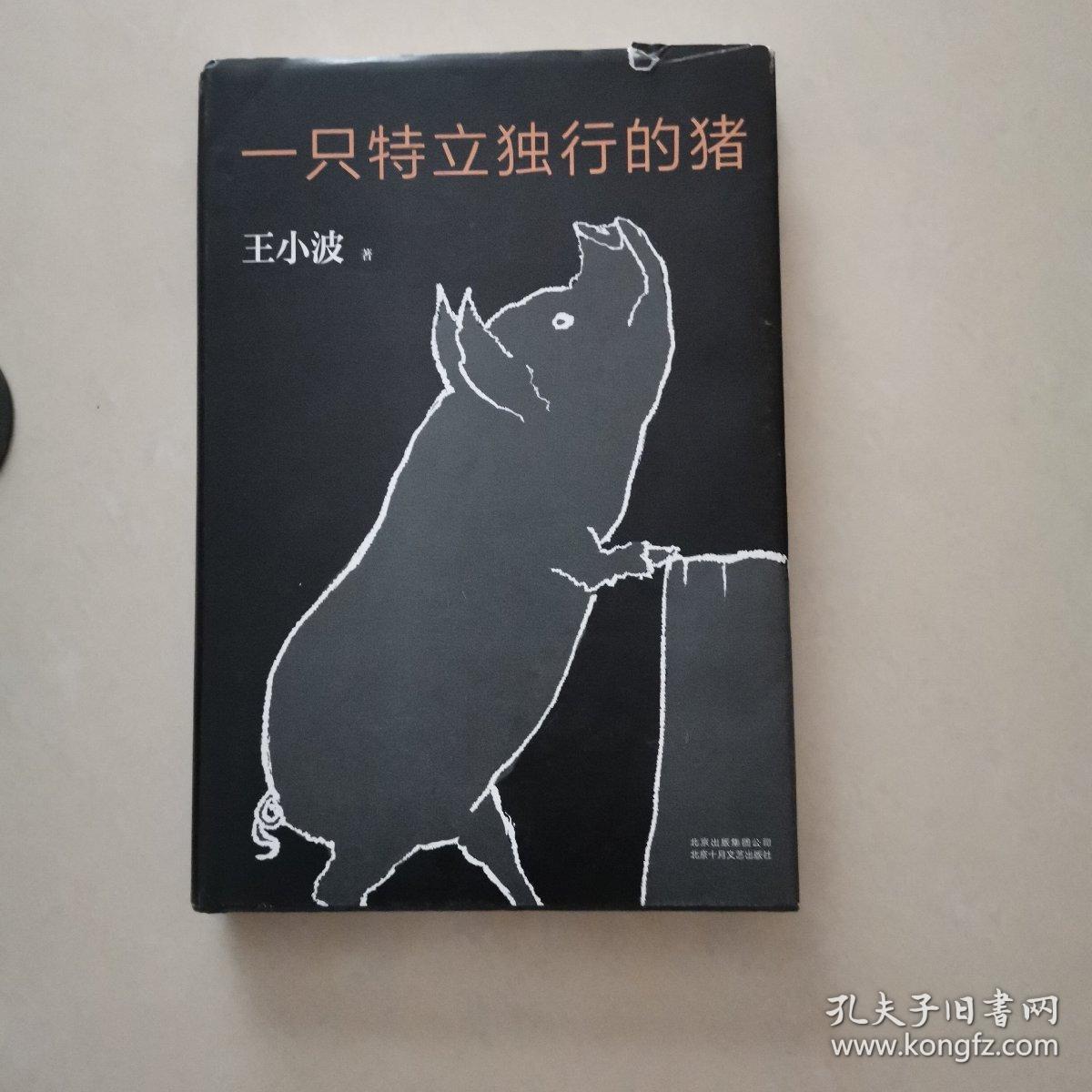一只特立独行的猪王小波北京十月文艺出版社9787530216712