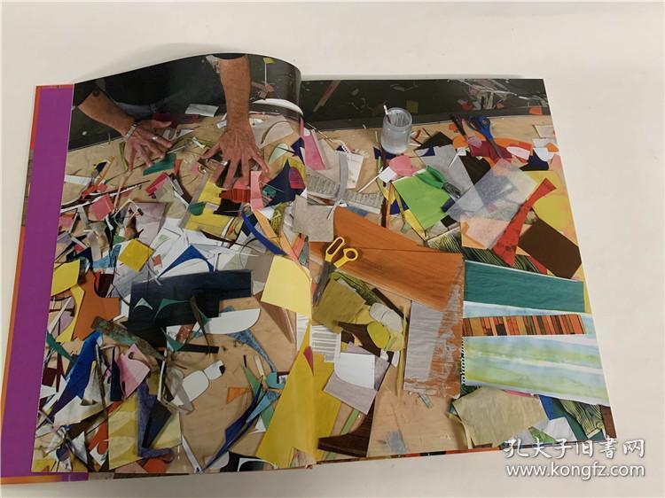 rex ray当代艺术家雷克斯雷 拼贴艺术与图案插画绘画艺术精装现货