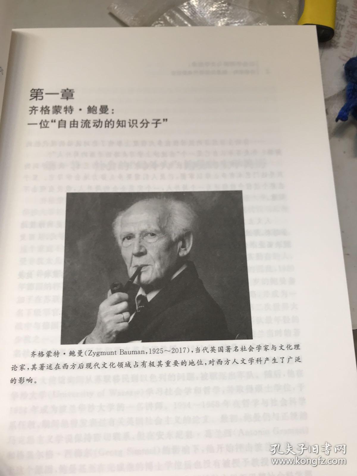 社会学阐释与文学想象 齐格蒙特·鲍曼论后现代消费社会