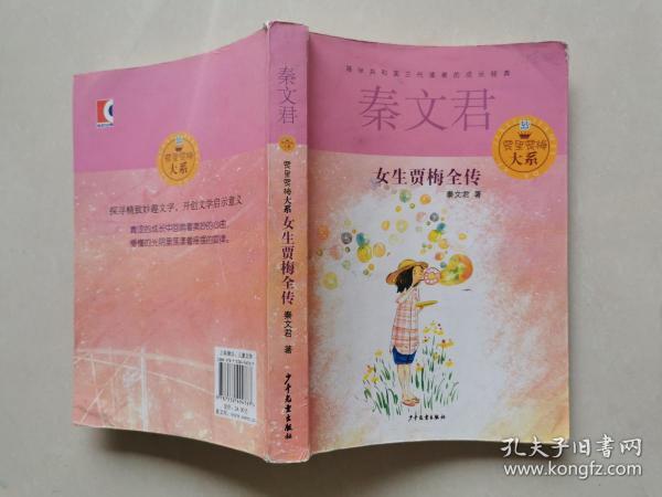 贾里贾梅大系:女生贾梅全传