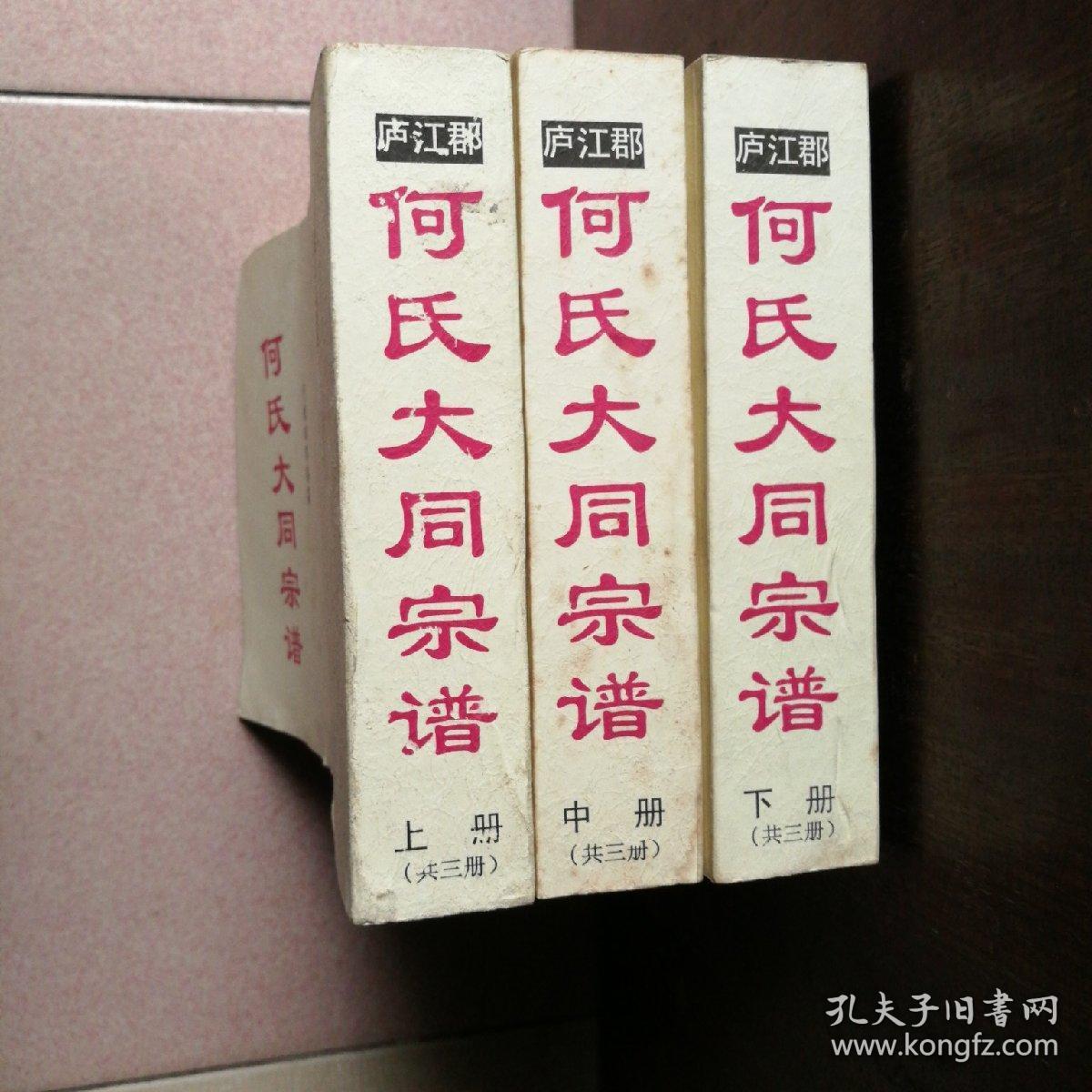 庐江郡何氏大同宗谱(据民国21年版印 上中下三册全)