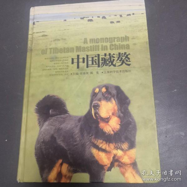 中国 藏獒