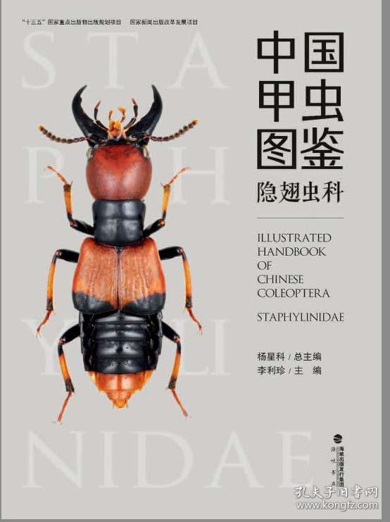 中国甲虫图鉴隐翅虫科