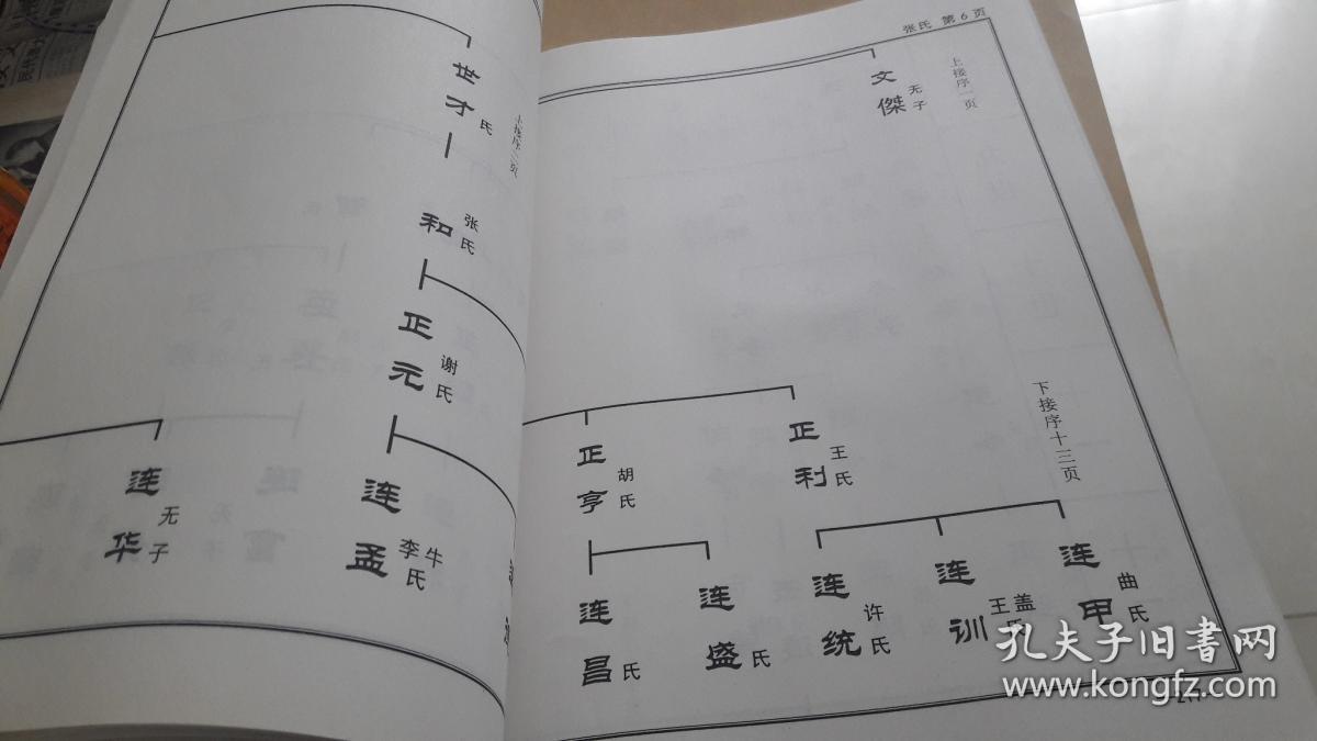 宫家村志,孔网孤本.内容丰富详实,有宫氏,张氏,盖氏.李氏,杨氏谱续.