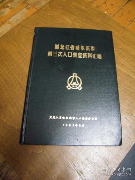 哈尔滨普查人口_哈尔滨冰雕(2)