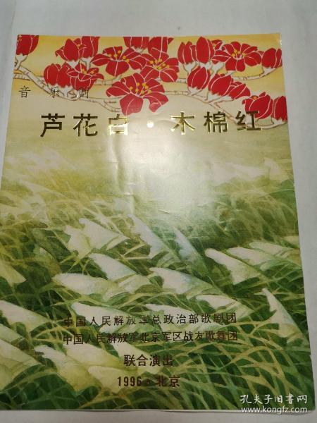 芦叶青青芦花白简谱_小星星简谱(5)