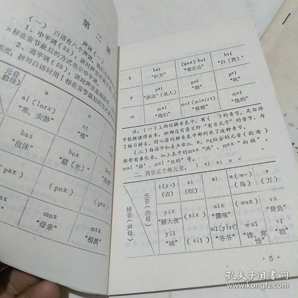 e016f6626a16bfe5_b.jpg