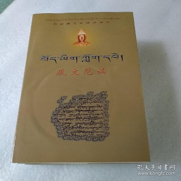 藏文范读:初级藏文多媒体课件【库存书,附光盘1张,品如图】