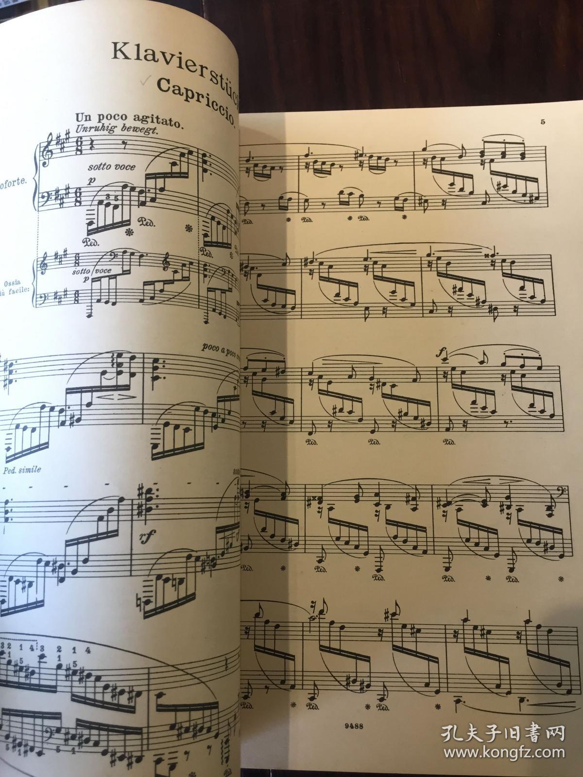 曲谱英文_英文纹身(5)