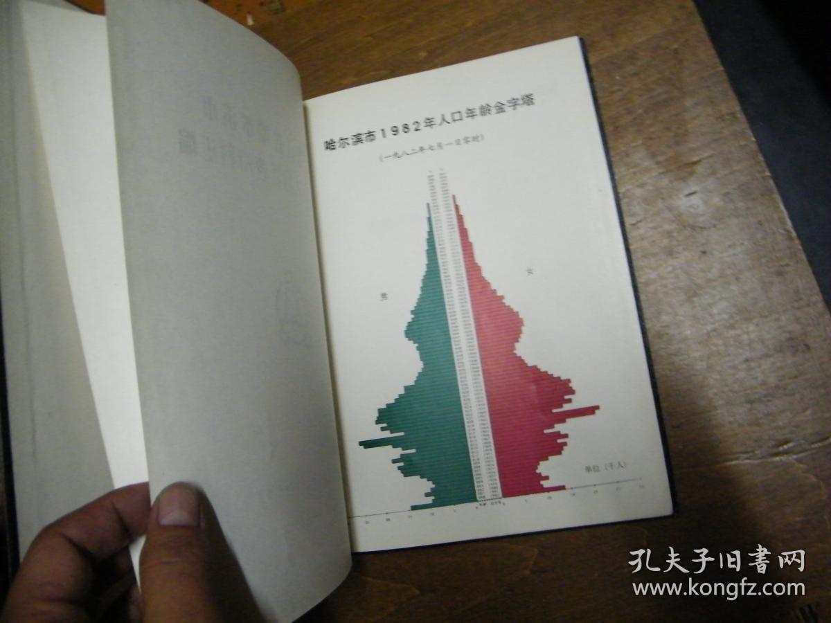 哈尔滨普查人口_哈尔滨冰雕(2)