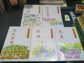 孔府全五册,详介后裔,五位二十派六十户,族谱,行辈,是编修孔氏家谱,孔