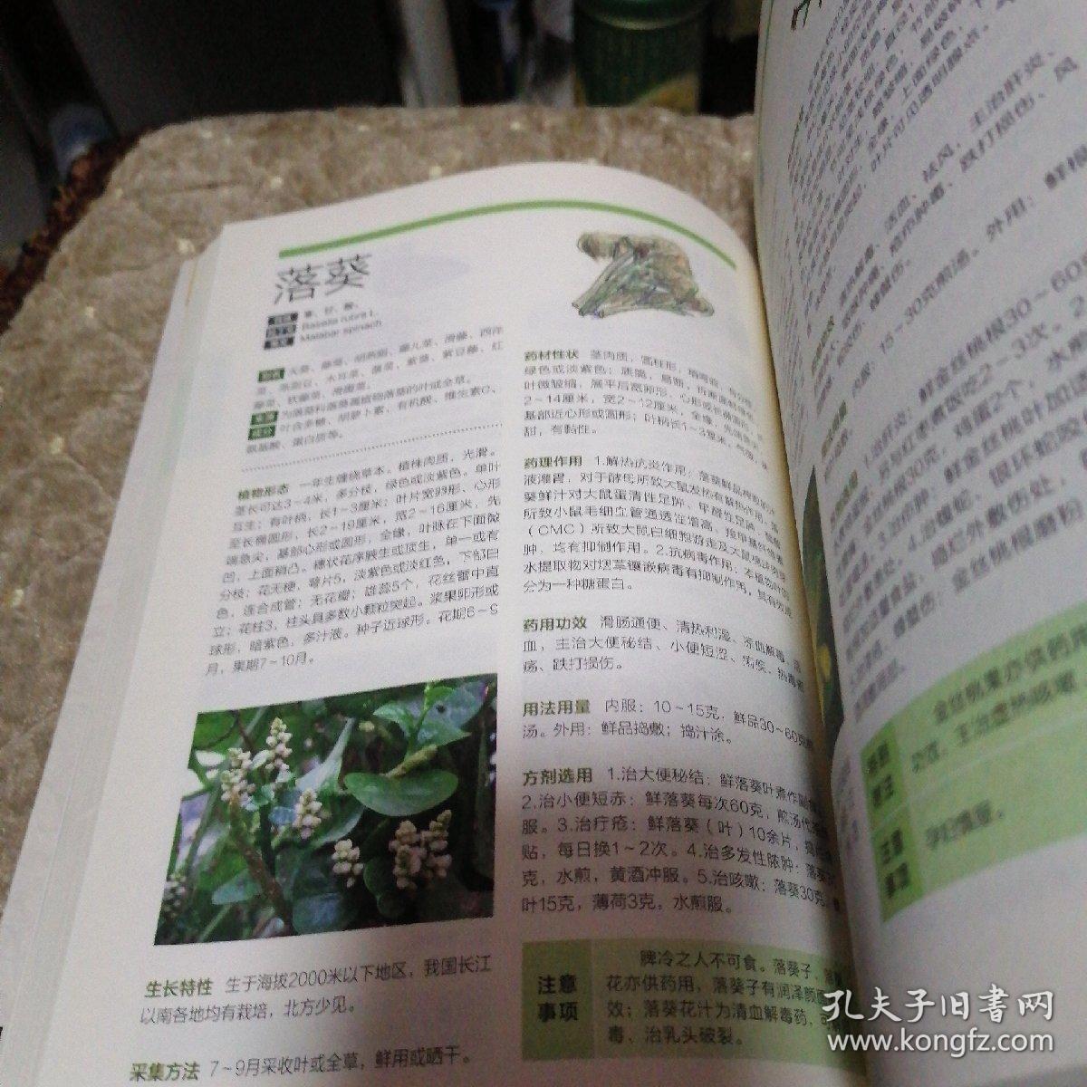 中草药全图鉴