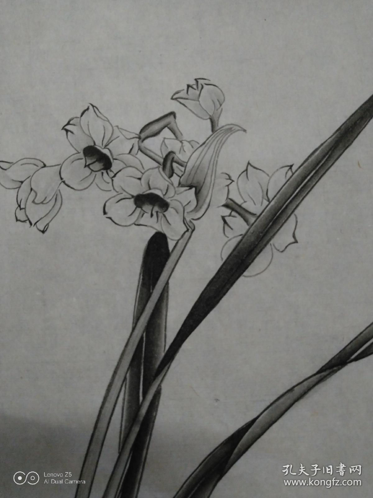 于非闇款墨染水仙花