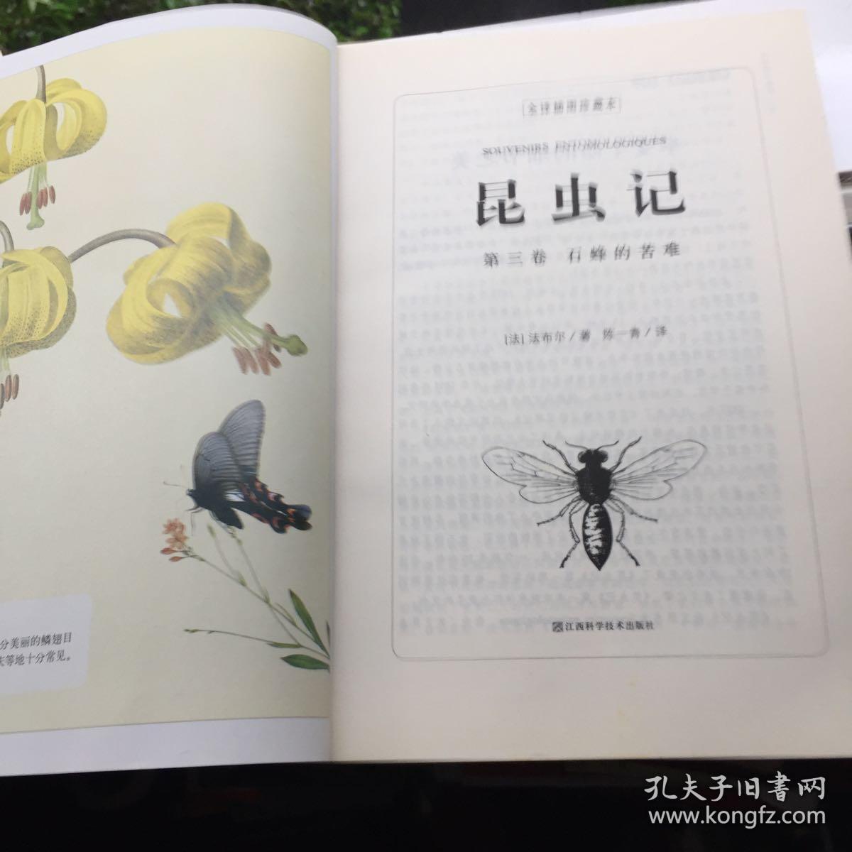 昆虫记第3卷第三卷石蜂的苦难