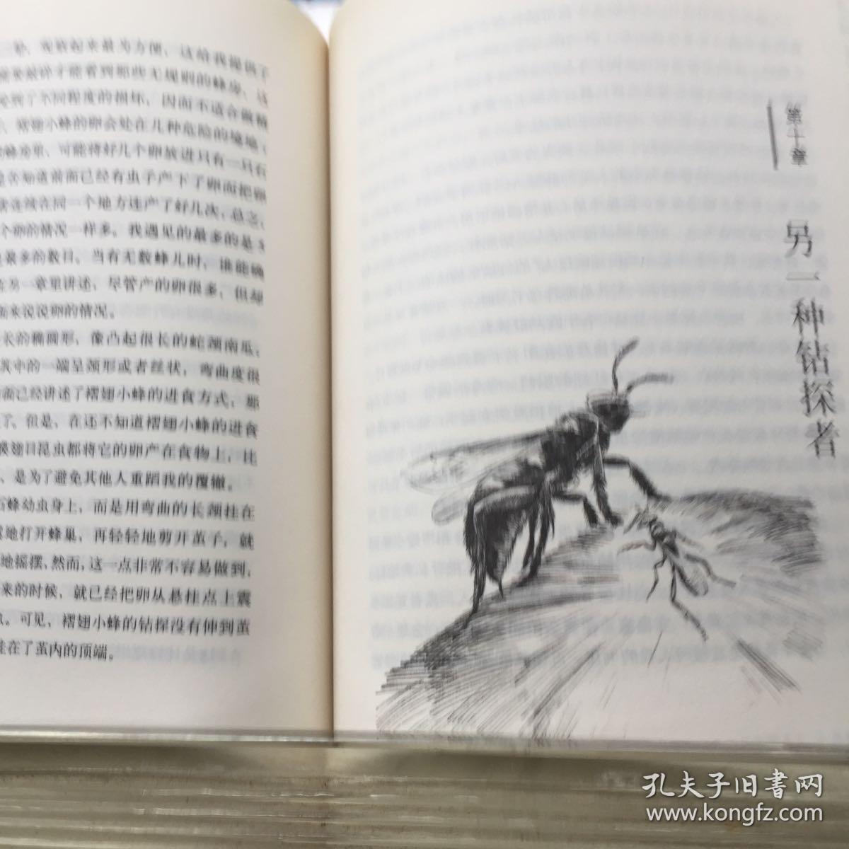 昆虫记第3卷第三卷石蜂的苦难