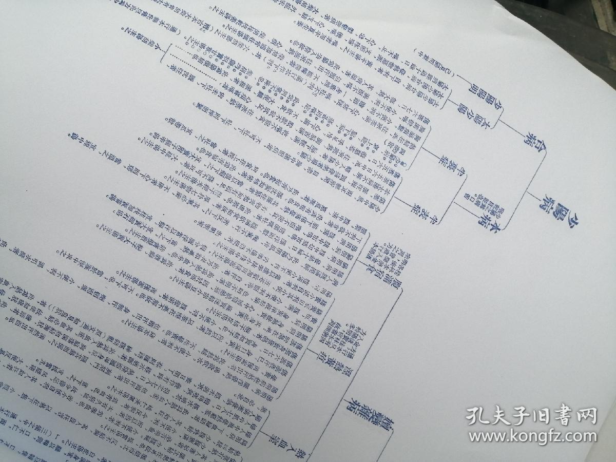 兰印古本伤寒六经分证表全四张中医挂图