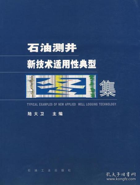测井招聘_微电阻扫描成像测井仪简介(4)