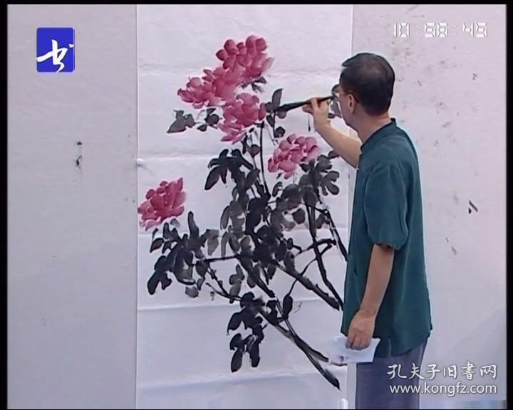 吴悦石 中国写意花鸟画dvd19讲