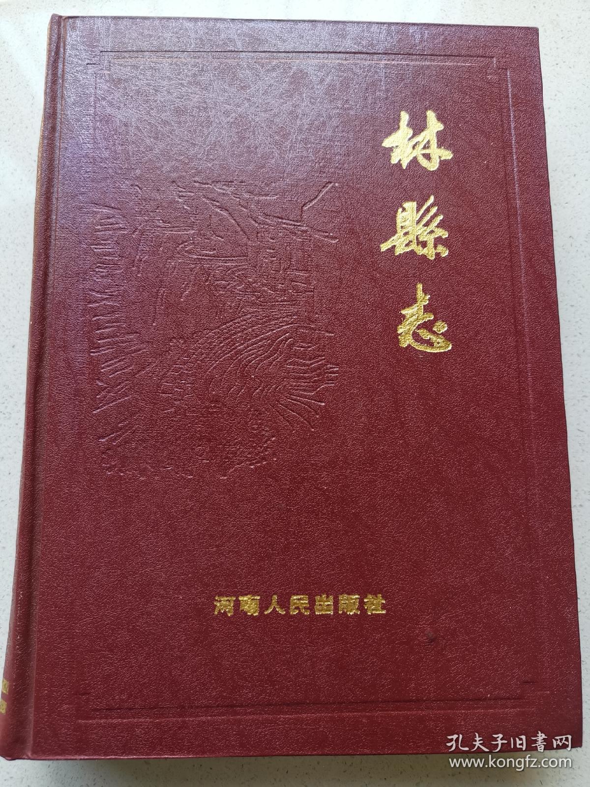 林县志(原版)