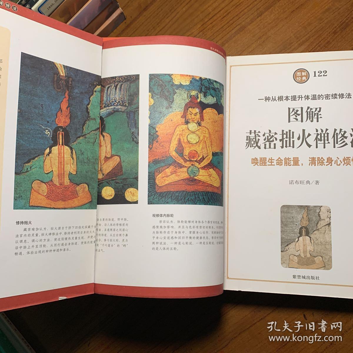 图解藏密拙火禅修法唤醒生命能量清除身心烦恼
