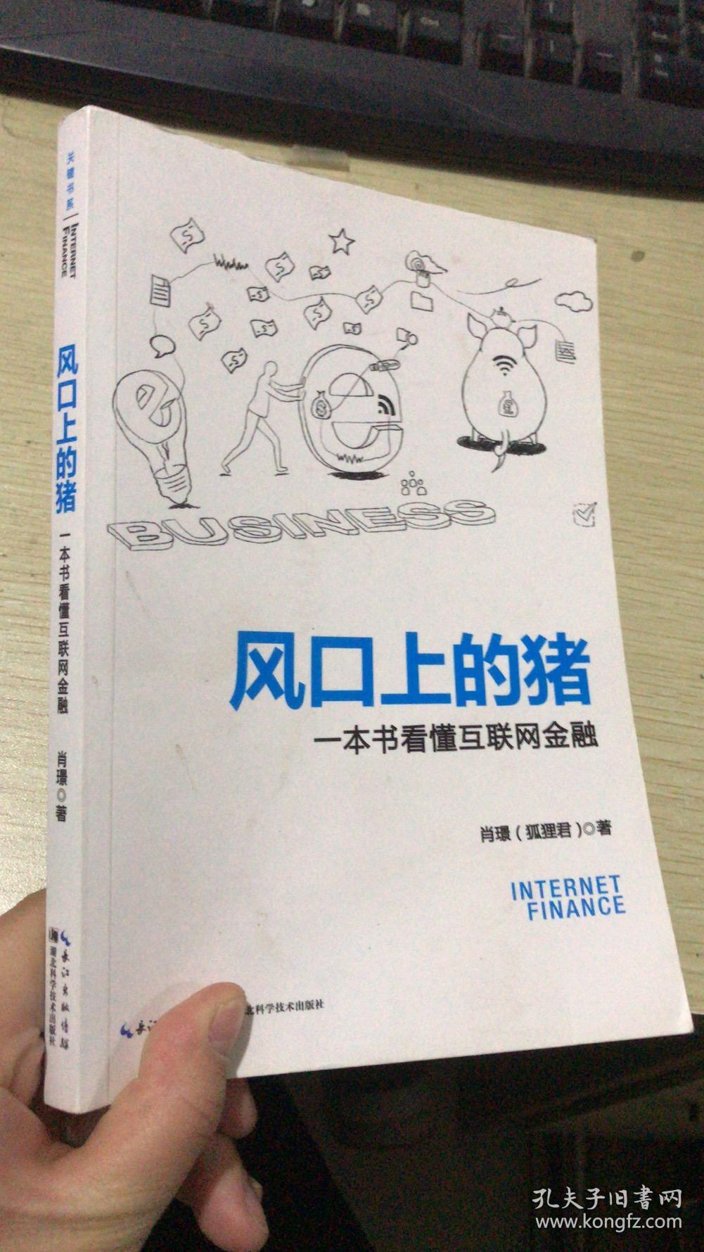 风口上的猪:一本书看懂互联网金融