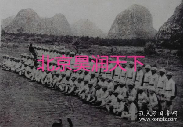 西林县瑶族人口有多少(2)