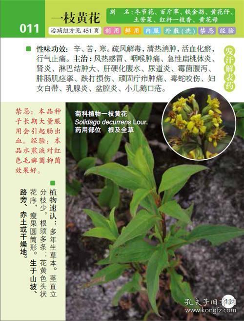 作者李健,出身于传统中医世家,从小受到中