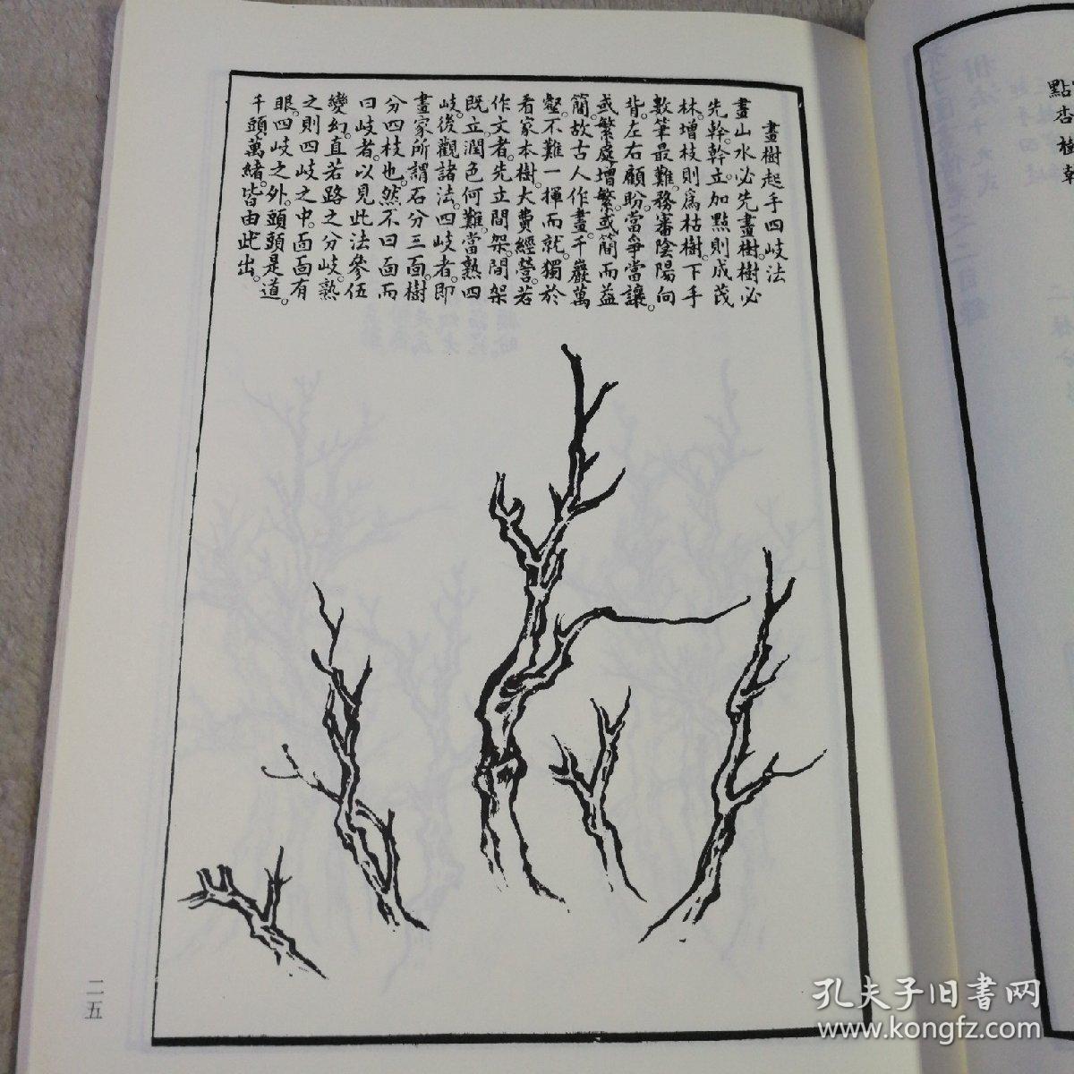 芥子园画谱:树谱